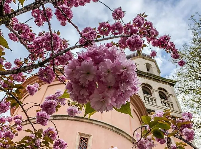 Bon Vivant Apartmán *